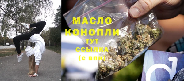 СК Бородино