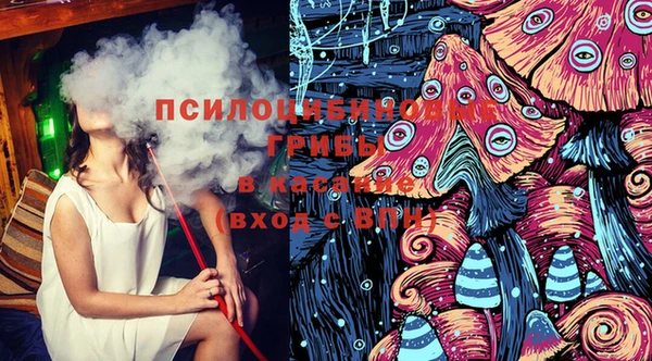 СК Бородино