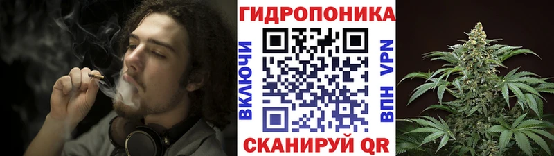 цены   Горно-Алтайск  Бошки Шишки OG Kush 